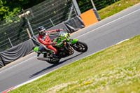 Lower Group Green Bikes